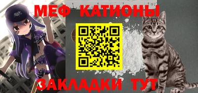 стаф Кунгур
