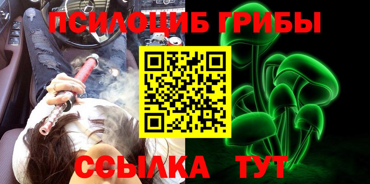 Касимов  Галлюциногенные грибы Magic Shrooms  Вход с VPN 
